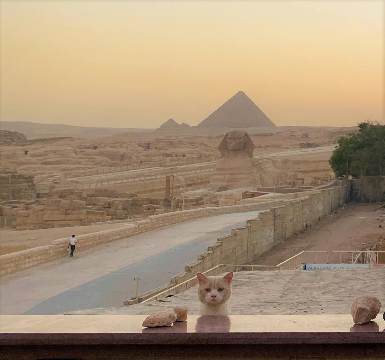 Seven Pyramids Inn Kafret el-Gabal Exteriör bild